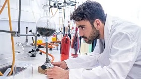 Foto de UBAVIDA, el proyecto de innovacin que desarrollar estrategias sostenibles para la obtencin de uva de baja concentracin de azcares y vino desalcoholizado