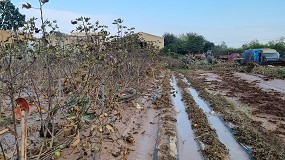 Foto de El Gobierno destinar 10 millones a la renovacin del parque de maquinaria agrcola afectado por la DANA