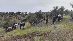 Foto de Mecanizacin del olivar de montaa