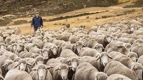 Foto de Campaa para fomentar el consumo de lechal, cordero y cabrito de origen espaol