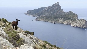 Foto de Las cabras son beneficiosas para el ecosistema en las islas del Mediterrneo