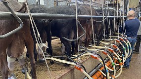 Foto de Los meses de otoo acentan la cada en la produccin de leche de cabra en Espaa