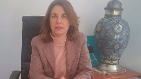 Feteia-Oltra celebra su reunin de la Comisin Area