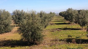 Foto de Nuevas ayudas de 40 millones para el fomento de la integracin cooperativa en el sector agroalimentario