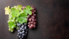 Foto de El vino culmina un 2024 complejo por la sequa y espera nuevas oportunidades con Mercosur