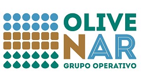 Foto de Mejorar la calidad del aceite de oliva: objetivo del proyecto Olivenar