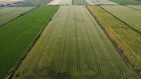 Foto de Estrategias innovadoras para optimizar la fertilizacin del cereal de invierno: Resultados de ensayos 'on-farm'