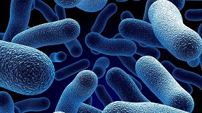 Foto de Atecyr organiza un curso online sobre Legionella y la urgencia de adaptar las instalaciones de ACS existentes