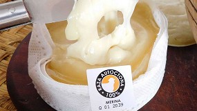 La raza Merina reivindica las propiedades y la calidad de la leche de sus ovejas