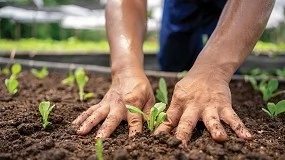 Foto de Hacia un cuidado ms sostenible y eficiente de plantas y cultivos