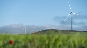 Foto de La AEE responde a la campaa Eco-ilgico de SEO/BirdLife destacando la compatibilidad entre energa elica y biodiversidad