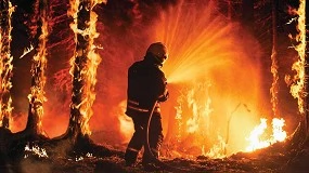 Foto de La importancia de la formacin de los profesionales de emergencia ante el creciente desafo de los desastres naturales