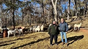 Foto de El Gobierno de Castilla-La Mancha se interesa por la situacin de la Cabra Blanca Serrana