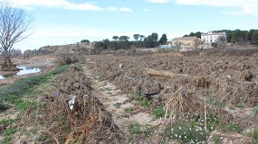 Foto de Agricultura hace efectivo el primer pago de ayudas a los afectados por la DANA