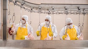 Principales retos del sector avcola en 2025