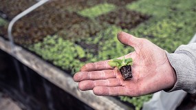 Foto de Abre sus puertas el 'Silicon Valley' de la lechuga con multitud de jornadas de campo