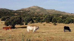 Foto de Ganadera extensiva y fauna silvestre: una coexistencia posible en la Sierra de Madrid