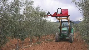 Foto de PFP (ficha de produto)