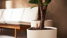 Foto de elho Smart Pebble, el asistente digital para el cuidado de las plantas