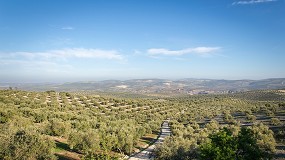 Foto de Andaluca lidera las exportaciones de la agroindustria en Espaa