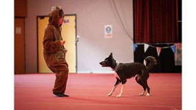 Foto de Mooiza se une al Open de Dog Dancing en Espaa