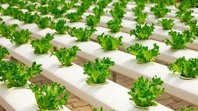 Foto de Premezclas para alimentos: una industria en evolucin