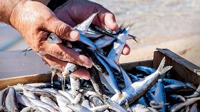 Foto de Economa azul: cultivando un futuro sostenible desde nuestros ocanos