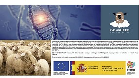 Foto de Sesin online para la presentacin de resultados del Grupo Operativo GC4Sheep