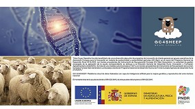 Sesin online para la presentacin de resultados del Grupo Operativo GC4Sheep