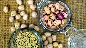 Foto de Crean nuevos alimentos a partir de leguminosas producidas sin agroqumicos