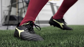 IBV logra el reconocimiento FIFA Research Institute