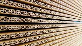 La industria del cartn cierra 2024 con 5.836 millones de m producidos y 6.967 millones de euros en facturacin
