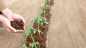 Foto de Gramoflor presenta su nuevo sustrato para hoyos de plantacin