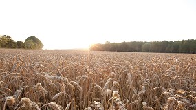 Foto de Las asociaciones agrarias muestran su 