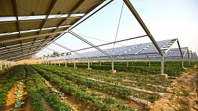 Foto de Marco regulatorio de la agrivoltaica en la Unión Europea