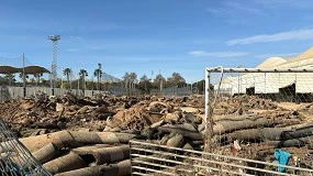 Foto de El CSD destina 2 millones de euros para las instalaciones deportivas afectadas por la DANA