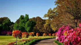 Foto de Cmo preparar el jardn para una temporada de crecimiento espectacular