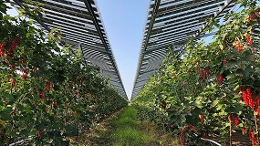 Foto de La Unef celebrar el prximo 10 de abril la jornada Agrovoltaica en Andaluca: innovacin para un futuro sostenible