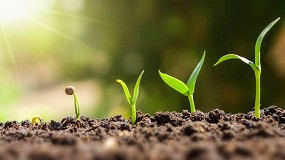 Las empresas de nutricin vegetal de referencia mundial muestran sus novedades en Infoagro Exhibition