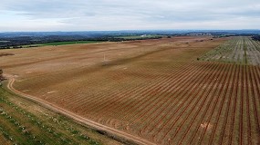 Foto de Huesca acoge el V Foro Internacional del Almendro en un momento clave para el cultivo en Espaa