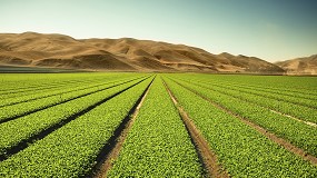 Haifa Group invierte 30 millones en una nueva planta de produccin de fertilizantes con tecnologa CRF