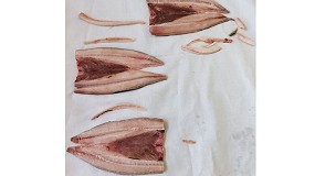 Foto de Cruells: soluciones completas y eficaces para el pelado y limpieza del pescado