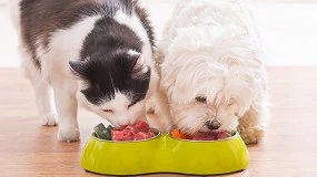 Foto de Alimentación húmeda para mascotas: Panorama y perspectivas del sector