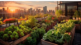 Hortcolas urbanas: del suelo al plato con el sustrato perfecto