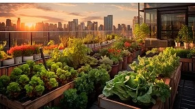 Foto de Hortcolas urbanas: del suelo al plato con el sustrato perfecto