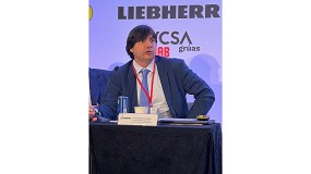 Alquiler de gr�as m�viles: tendencias, desaf�os y perspectivas