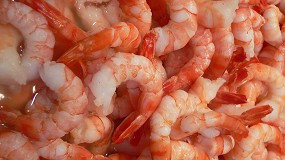 Bizerba se estrena en Seafood Expo Global 2025: soluciones inteligentes para el procesamiento del pescado