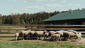 Variantes gnicas de la protena del prion inducen resistencia frente al scrapie