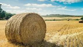 Foto de Impulso a la producción local de forrajes de calidad para fortalecer la ganadería en Euskadi