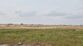 Foto de El MAPA efectuar el pago de ayudas directas a 107 arroceros de Valencia afectados por la DANA